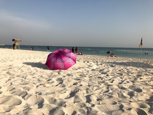 Al Hudayriat Island Beach Al Hudayriat Island Beach