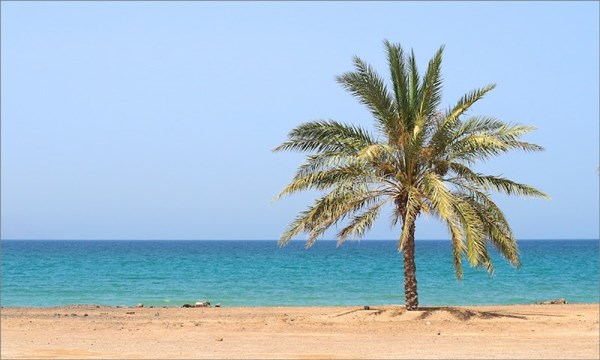 Dibba Beach Dibba Beach