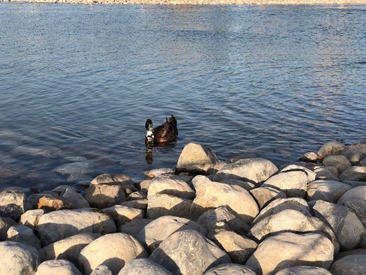 Al Hayer Lake Park Al Hayer Lake Park