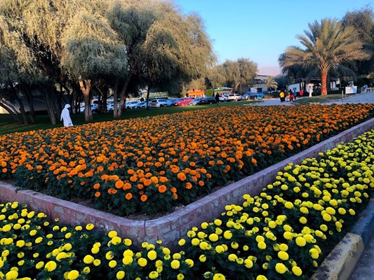 Saqr Park Saqr Park