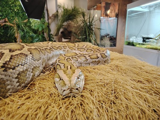 Wildlife Secrets Sanctuary Wildlife Secrets Sanctuary