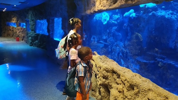 Abu Dhabi History Museum and Aquarium Abu Dhabi History Museum and Aquarium