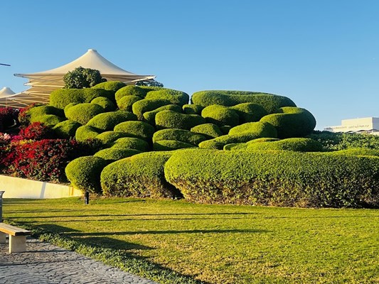 Khalifa Park Khalifa Park