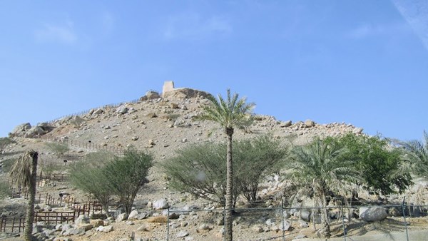 Dhayah Fort Dhayah Fort