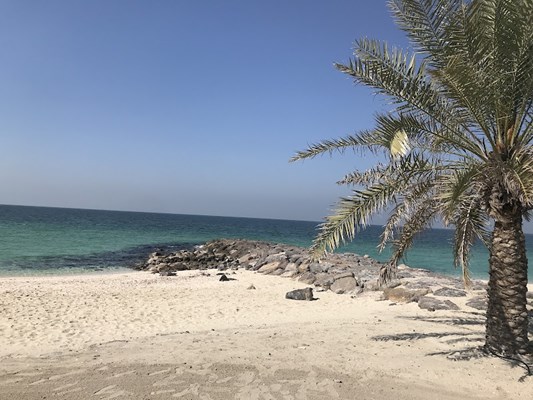 Al Hamriyah Public Beach Al Hamriyah Public Beach