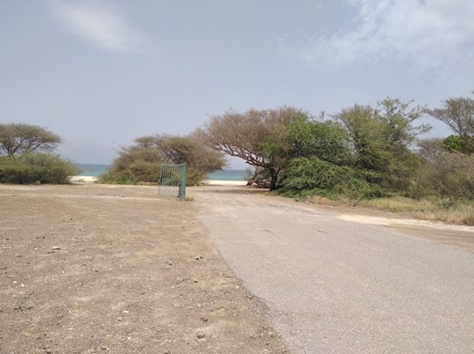 Al Akamiyah Beach Al Akamiyah Beach